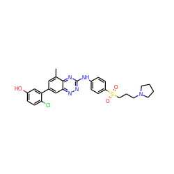 Cc1cc(-c2cc(O)ccc2Cl)cc2nnc(Nc3ccc(S(=O)(=O)CCCN4CCCC4)cc3)nc12 ZINC000028957676