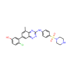 Cc1cc(-c2cc(O)ccc2Cl)cc2nnc(Nc3ccc(S(=O)(=O)N4CCNCC4)cc3)nc12 ZINC000028957672