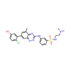 Cc1cc(-c2cc(O)ccc2Cl)cc2nnc(Nc3cccc(S(=O)(=O)NCCN(C)C)c3)nc12 ZINC000137594051