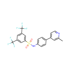 Cc1cc(-c2ccc(NS(=O)(=O)c3cc(C(F)(F)F)cc(C(F)(F)F)c3)cc2)ccn1 ZINC000103283628