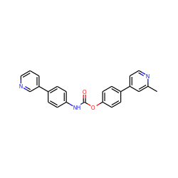 Cc1cc(-c2ccc(OC(=O)Nc3ccc(-c4cccnc4)cc3)cc2)ccn1 ZINC000473123506