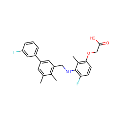 Cc1cc(-c2cccc(F)c2)cc(CNc2c(F)ccc(OCC(=O)O)c2C)c1C ZINC000218917294