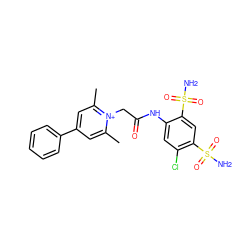 Cc1cc(-c2ccccc2)cc(C)[n+]1CC(=O)Nc1cc(Cl)c(S(N)(=O)=O)cc1S(N)(=O)=O ZINC000013804364