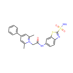 Cc1cc(-c2ccccc2)cc(C)[n+]1CC(=O)Nc1ccc2nc(S(N)(=O)=O)sc2c1 ZINC000013804422