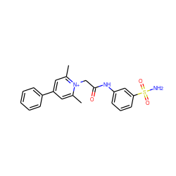 Cc1cc(-c2ccccc2)cc(C)[n+]1CC(=O)Nc1cccc(S(N)(=O)=O)c1 ZINC000013804279