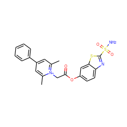 Cc1cc(-c2ccccc2)cc(C)[n+]1CC(=O)Oc1ccc2nc(S(N)(=O)=O)sc2c1 ZINC000013804431