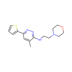 Cc1cc(-c2cccs2)nnc1NCCN1CCOCC1 ZINC000027620551