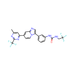 Cc1cc(-c2ccn3c(-c4cccc(NC(=O)NCC(F)(F)F)c4)cnc3c2)nc(C(F)(F)F)n1 ZINC000169704698