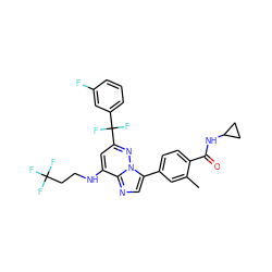 Cc1cc(-c2cnc3c(NCCC(F)(F)F)cc(C(F)(F)c4cccc(F)c4)nn23)ccc1C(=O)NC1CC1 ZINC000147399156