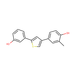 Cc1cc(-c2csc(-c3cccc(O)c3)c2)ccc1O ZINC000045255595