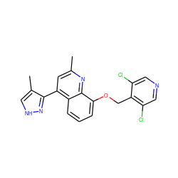 Cc1cc(-c2n[nH]cc2C)c2cccc(OCc3c(Cl)cncc3Cl)c2n1 ZINC000043017958