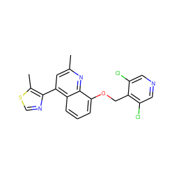 Cc1cc(-c2ncsc2C)c2cccc(OCc3c(Cl)cncc3Cl)c2n1 ZINC000043063824