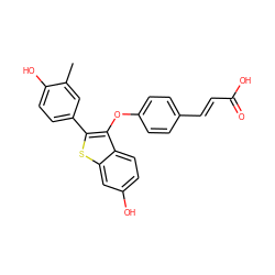 Cc1cc(-c2sc3cc(O)ccc3c2Oc2ccc(/C=C/C(=O)O)cc2)ccc1O ZINC000221150202