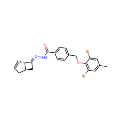 Cc1cc(Br)c(OCc2ccc(C(=O)N/N=C3\C[C@H]4CC=C[C@H]34)cc2)c(Br)c1 ZINC000008685317