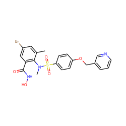 Cc1cc(Br)cc(C(=O)NO)c1N(C)S(=O)(=O)c1ccc(OCc2cccnc2)cc1 ZINC000013440700