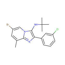 Cc1cc(Br)cn2c(NC(C)(C)C)c(-c3cccc(Cl)c3)nc12 ZINC000207020214