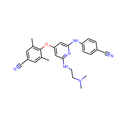 Cc1cc(C#N)cc(C)c1Oc1cc(NCCN(C)C)nc(Nc2ccc(C#N)cc2)c1 ZINC000653708713