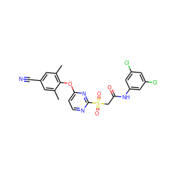 Cc1cc(C#N)cc(C)c1Oc1ccnc(S(=O)(=O)CC(=O)Nc2cc(Cl)cc(Cl)c2)n1 ZINC000473114957