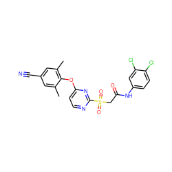 Cc1cc(C#N)cc(C)c1Oc1ccnc(S(=O)(=O)CC(=O)Nc2ccc(Cl)c(Cl)c2)n1 ZINC000473115337