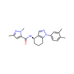 Cc1cc(C(=O)N[C@@H]2CCCc3c2cnn3-c2ccc(C)c(C)c2)n(C)n1 ZINC000012469778