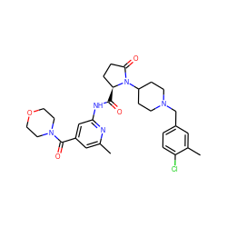 Cc1cc(C(=O)N2CCOCC2)cc(NC(=O)[C@H]2CCC(=O)N2C2CCN(Cc3ccc(Cl)c(C)c3)CC2)n1 ZINC000116820941