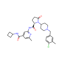 Cc1cc(C(=O)NC2CCC2)cc(NC(=O)[C@H]2CCC(=O)N2C2CCN(Cc3ccc(Cl)c(C)c3)CC2)n1 ZINC000143327054