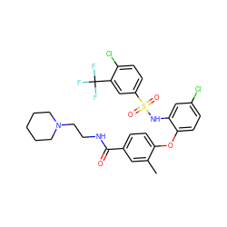 Cc1cc(C(=O)NCCN2CCCCC2)ccc1Oc1ccc(Cl)cc1NS(=O)(=O)c1ccc(Cl)c(C(F)(F)F)c1 ZINC000082138029