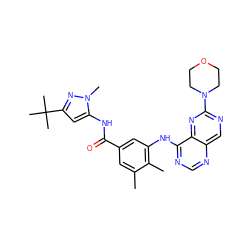 Cc1cc(C(=O)Nc2cc(C(C)(C)C)nn2C)cc(Nc2ncnc3cnc(N4CCOCC4)nc23)c1C ZINC000148266662