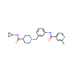 Cc1cc(C(=O)Nc2cccc(CN3CCC(C(=O)NC4CC4)CC3)c2)ccn1 ZINC001772649232