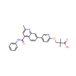 Cc1cc(C(=O)Nc2ccccc2)c2ccc(-c3ccc(OCC(C)(C)C(=O)O)nc3)cc2n1 ZINC000113827939