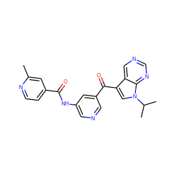 Cc1cc(C(=O)Nc2cncc(C(=O)c3cn(C(C)C)c4ncncc34)c2)ccn1 ZINC000169707949