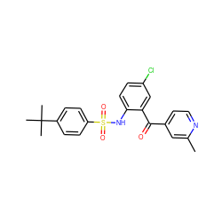 Cc1cc(C(=O)c2cc(Cl)ccc2NS(=O)(=O)c2ccc(C(C)(C)C)cc2)ccn1 ZINC000113624079