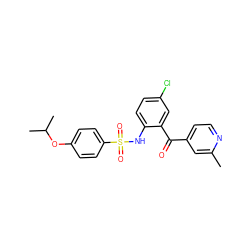 Cc1cc(C(=O)c2cc(Cl)ccc2NS(=O)(=O)c2ccc(OC(C)C)cc2)ccn1 ZINC000038840977