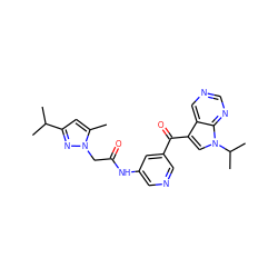 Cc1cc(C(C)C)nn1CC(=O)Nc1cncc(C(=O)c2cn(C(C)C)c3ncncc23)c1 ZINC000169707672