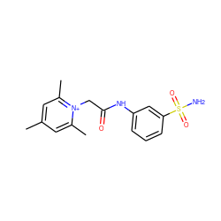 Cc1cc(C)[n+](CC(=O)Nc2cccc(S(N)(=O)=O)c2)c(C)c1 ZINC000013804278