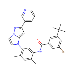 Cc1cc(C)c(-n2ccn3nc(-c4cccnc4)cc23)cc1NC(=O)c1cc(Br)cc(C(C)(C)C)c1 ZINC000224202305