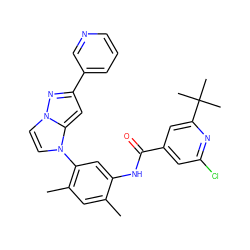 Cc1cc(C)c(-n2ccn3nc(-c4cccnc4)cc23)cc1NC(=O)c1cc(Cl)nc(C(C)(C)C)c1 ZINC000224196525