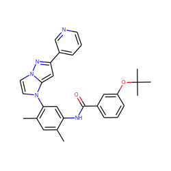 Cc1cc(C)c(-n2ccn3nc(-c4cccnc4)cc23)cc1NC(=O)c1cccc(OC(C)(C)C)c1 ZINC000224211431