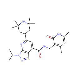 Cc1cc(C)c(CNC(=O)c2cc(C3CC(C)(C)NC(C)(C)C3)nc3c2cnn3C(C)C)c(=O)[nH]1 ZINC000203907288