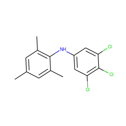 Cc1cc(C)c(Nc2cc(Cl)c(Cl)c(Cl)c2)c(C)c1 ZINC000653831298