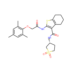 Cc1cc(C)c(OCC(=O)Nc2sc3c(c2C(=O)N[C@@H]2CCS(=O)(=O)C2)CCCC3)c(C)c1 ZINC000009171845