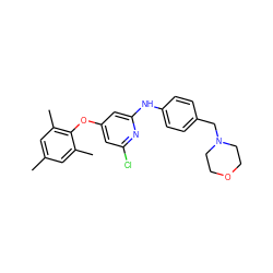 Cc1cc(C)c(Oc2cc(Cl)nc(Nc3ccc(CN4CCOCC4)cc3)c2)c(C)c1 ZINC001772607469