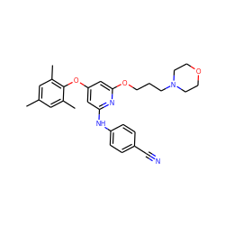 Cc1cc(C)c(Oc2cc(Nc3ccc(C#N)cc3)nc(OCCCN3CCOCC3)c2)c(C)c1 ZINC001772626566