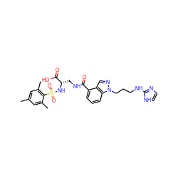 Cc1cc(C)c(S(=O)(=O)N[C@@H](CNC(=O)c2cccc3c2cnn3CCCNc2ncc[nH]2)C(=O)O)c(C)c1 ZINC000027642399