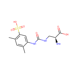 Cc1cc(C)c(S(=O)(=O)O)cc1NC(=O)NC[C@H](N)C(=O)O ZINC000205168618