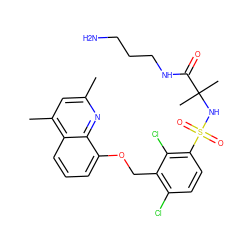 Cc1cc(C)c2cccc(OCc3c(Cl)ccc(S(=O)(=O)NC(C)(C)C(=O)NCCCN)c3Cl)c2n1 ZINC000043524112