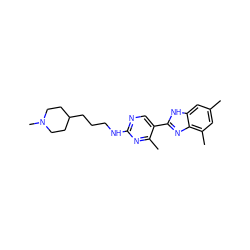 Cc1cc(C)c2nc(-c3cnc(NCCCC4CCN(C)CC4)nc3C)[nH]c2c1 ZINC000043175812