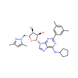 Cc1cc(C)cc(-c2nc(NC3CCCC3)c3ncn([C@@H]4O[C@H](Cn5nc(C)cc5C)[C@@H](O)[C@H]4O)c3n2)c1 ZINC001772602519