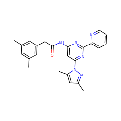 Cc1cc(C)cc(CC(=O)Nc2cc(-n3nc(C)cc3C)nc(-c3ccccn3)n2)c1 ZINC000029127850