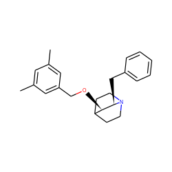 Cc1cc(C)cc(CO[C@@H]2C3CCN(CC3)[C@@H]2Cc2ccccc2)c1 ZINC000013744530